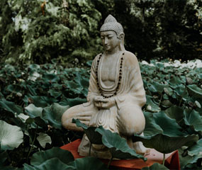 宗教信仰專(zhuān)屬