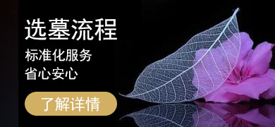流程標(biāo)準化 放心安心