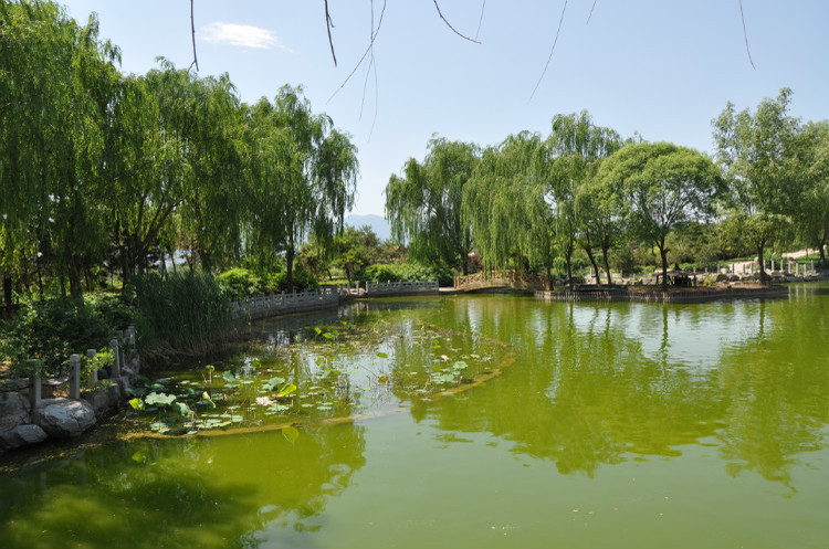 園區(qū)環(huán)境