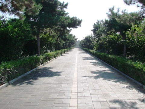 園區(qū)環(huán)境