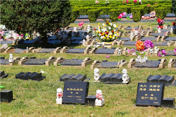 園區(qū)環(huán)境