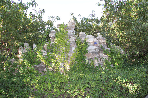 園區(qū)景觀