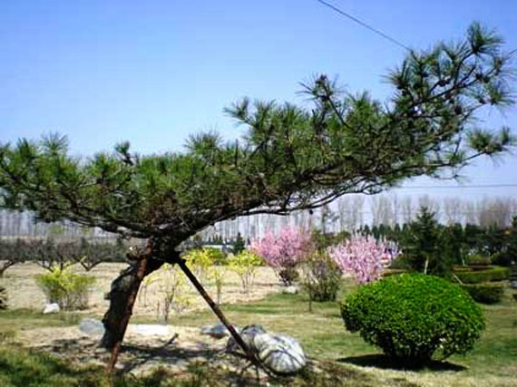 園區(qū)環(huán)境