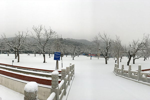 園區(qū)環(huán)境