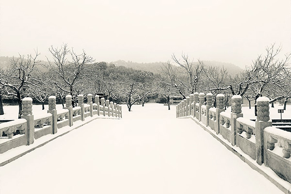 園區(qū)環(huán)境