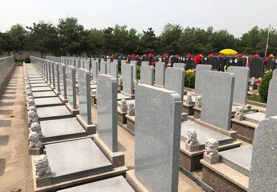 竹園:竹園W15