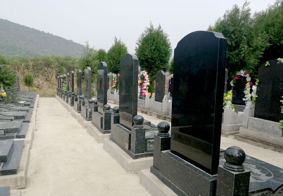 福壽園:萬(wàn)年青龍鳳碑