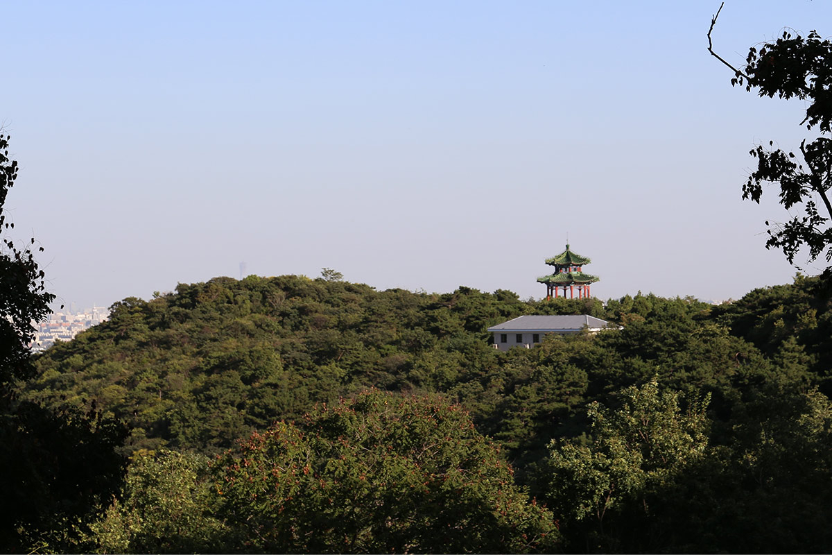 金山陵園介紹
