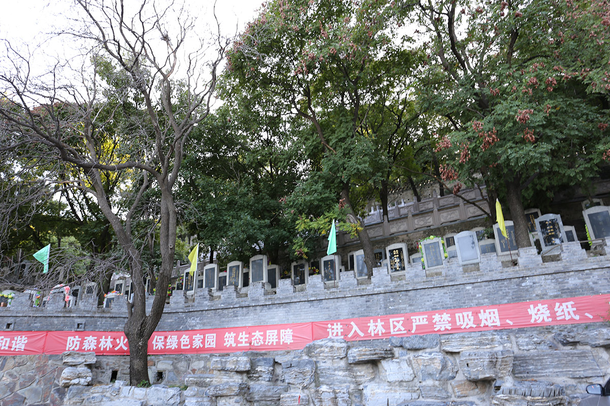 園區(qū)環(huán)境