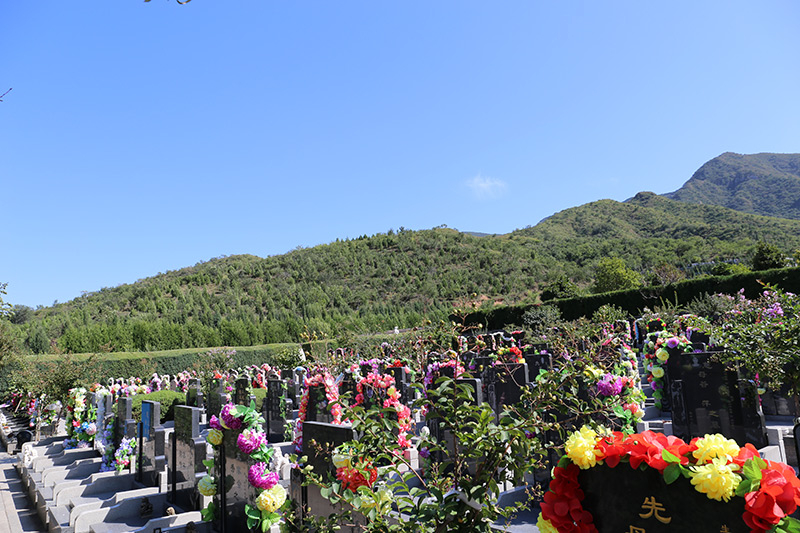 園區(qū)環(huán)境