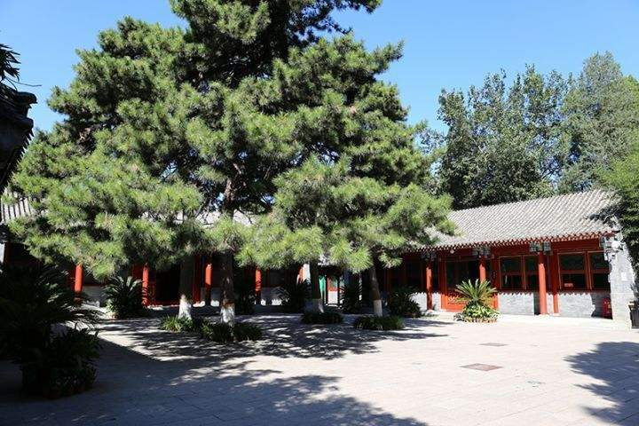 園區(qū)環(huán)境
