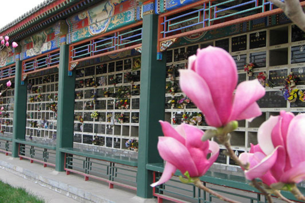 園區(qū)環(huán)境